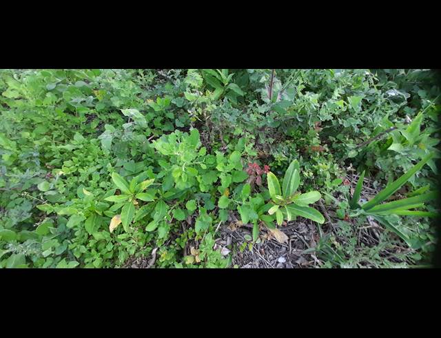 1,487M² VACANT LAND FOR SALE IN SEAVIEW